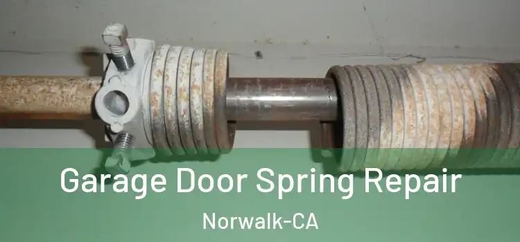 Garage Door Spring Repair Norwalk-CA