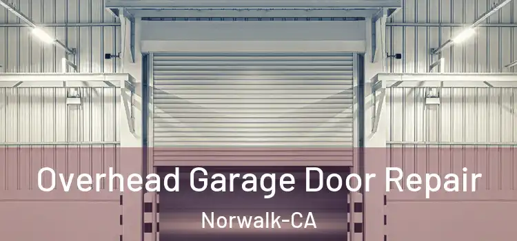  Overhead Garage Door Repair Norwalk-CA