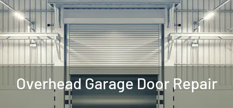  Overhead Garage Door Repair 